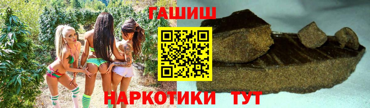 ГАШ  Вход с VPN  Чита  ГАШ Premium 