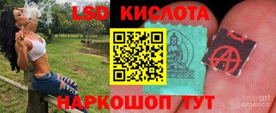 дмт Новокубанск